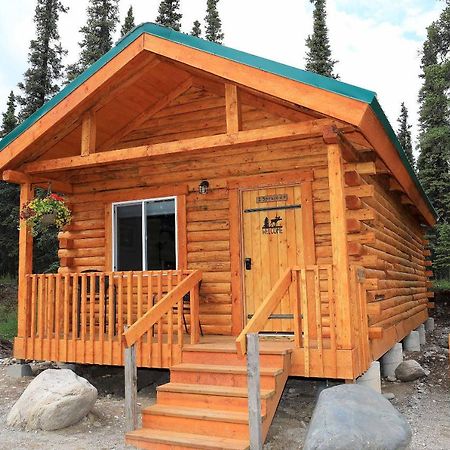 Denali Tri-Valley Cabins Хили Экстерьер фото