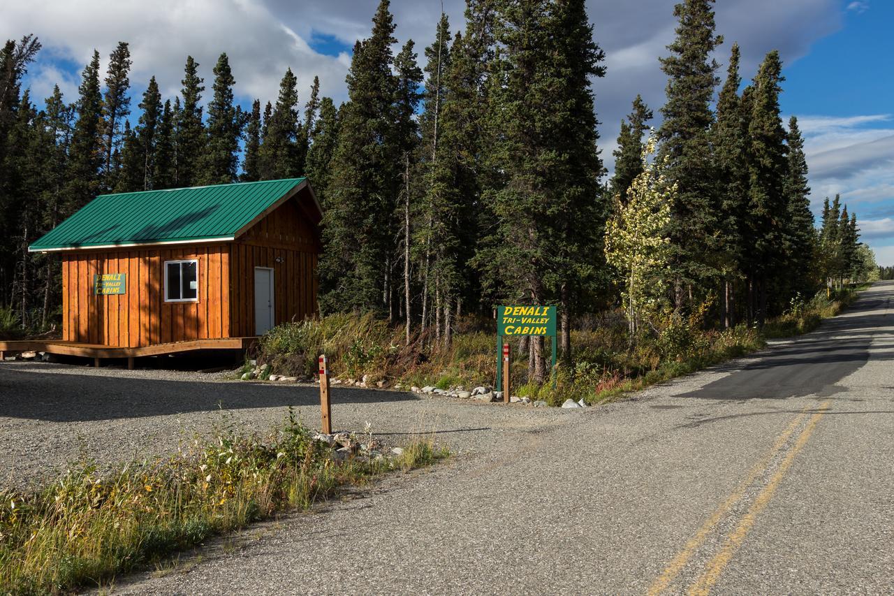 Denali Tri-Valley Cabins Хили Экстерьер фото