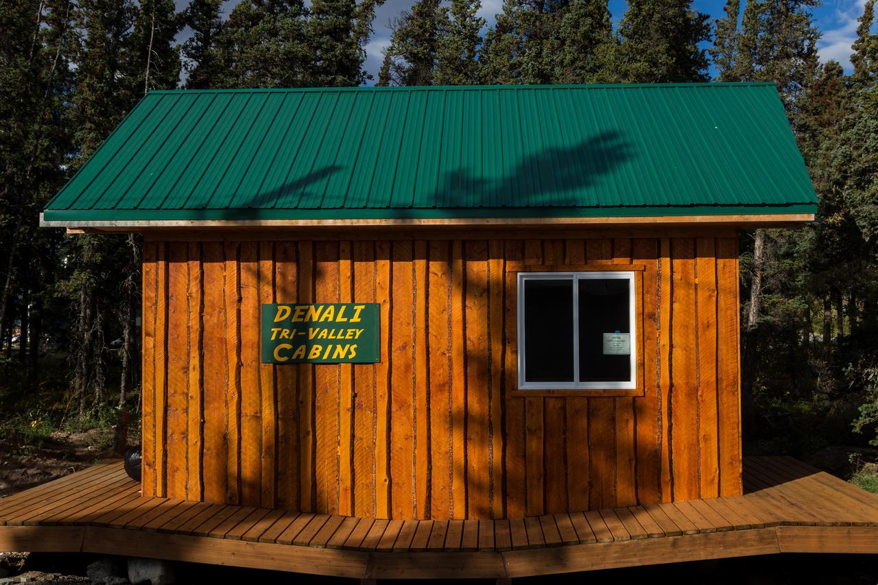 Denali Tri-Valley Cabins Хили Экстерьер фото